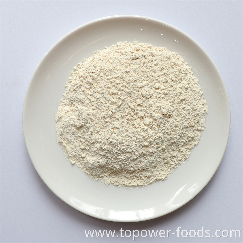 New Crop Dehydrated Pure White Garlic Powder